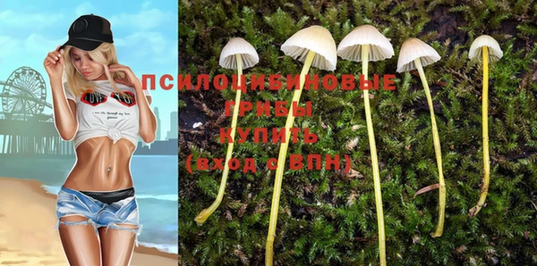 гашишное масло Магас