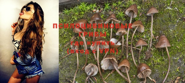 гашишное масло Магас