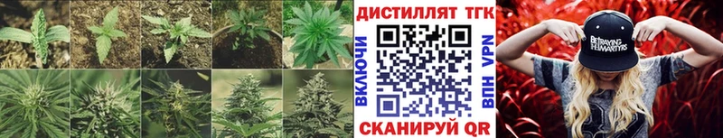 Дистиллят ТГК вейп  дарнет шоп  Яблоновский 